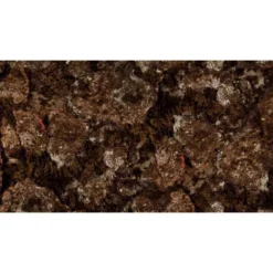 BEUCHAT Rocksea Wide Spearfishing Jacket 7 Mm -Sport Diving Gear beuchat rocksea wide spearfishing jacket 7 mm 4