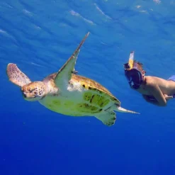 Aria QR+ Full Face Snorkeling Mask With Camera Holder -Sport Diving Gear ocean reef aria qr full face snorkeling mask with camera holder 2