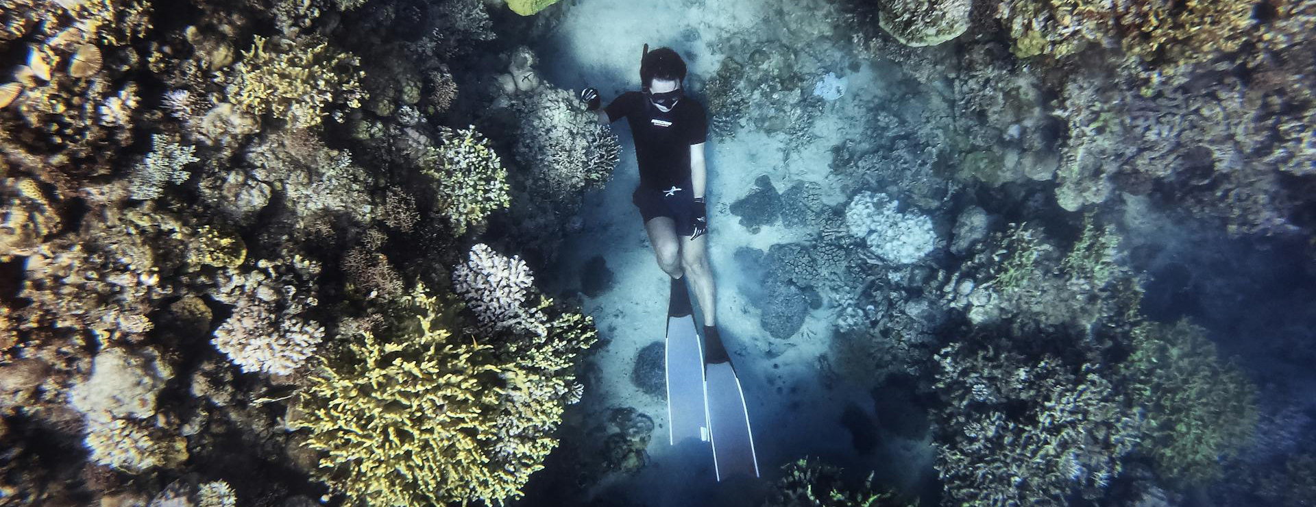 Sport Diving Gear -Sport Diving Gear pexels cahilrom 10053305