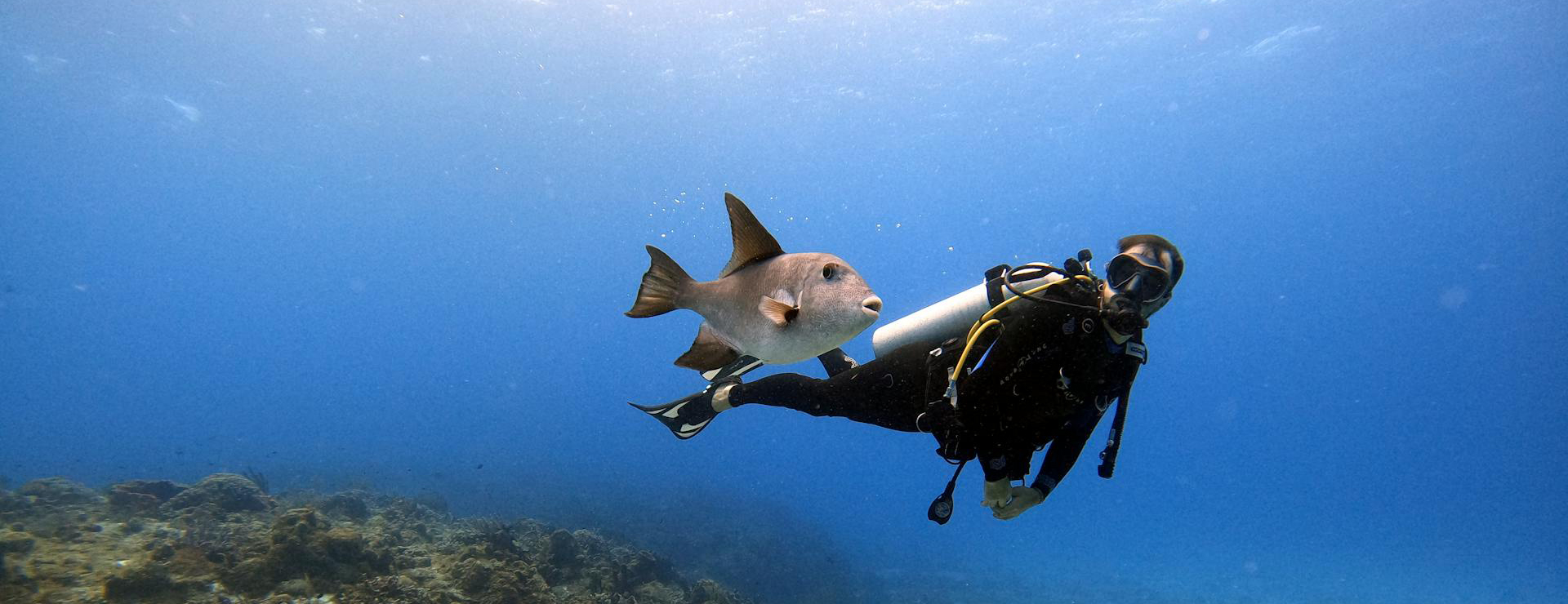 Sport Diving Gear -Sport Diving Gear pexels mati 11481752